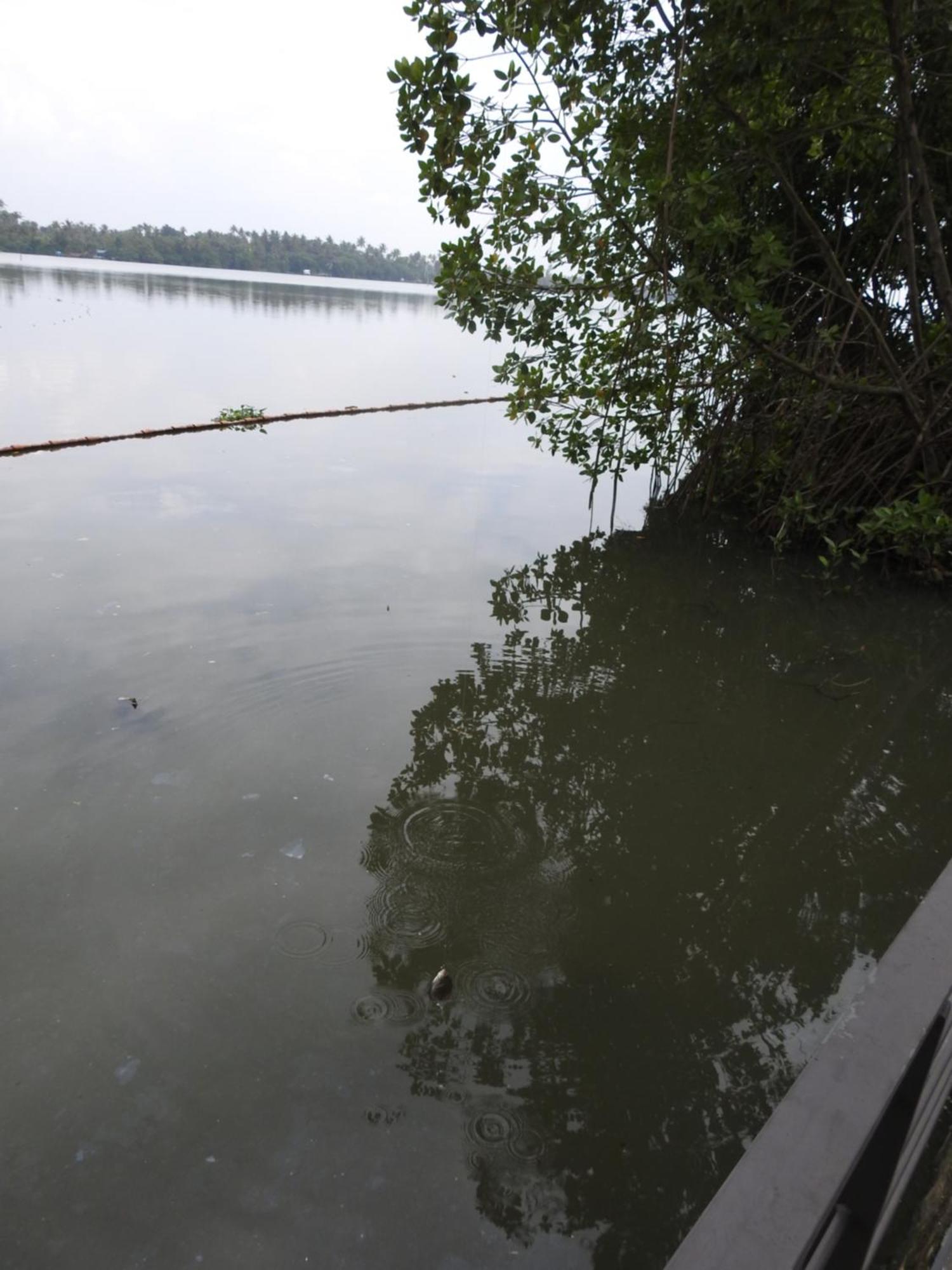 Lago Leisure Resort & Spa Cherai Beach Exterior photo